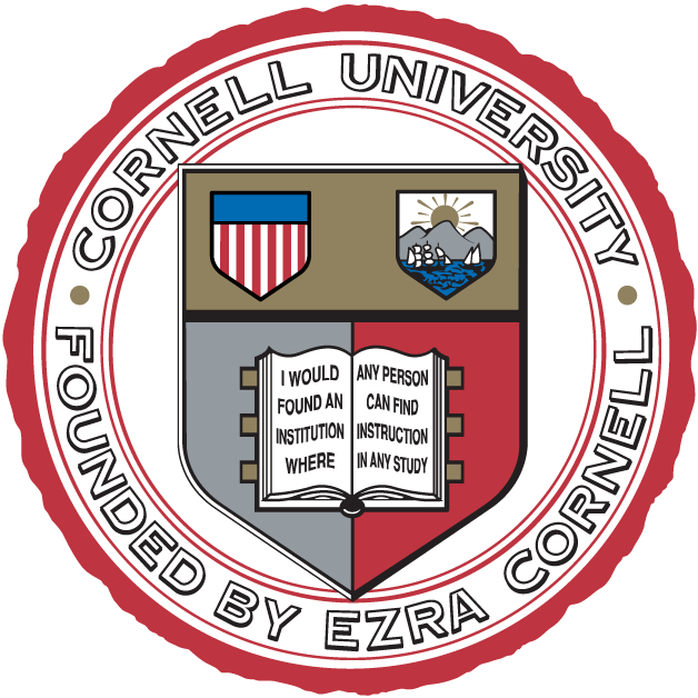 Cornell Big Red 1865-Pres Alternate Logo diy DTF decal sticker